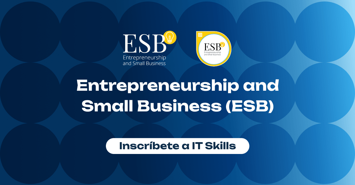 IT Skills Platform | Curso: Entrepreneurship and Small Business (ESB)